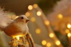30.Bokeh 