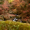 19.渓谷の紅音