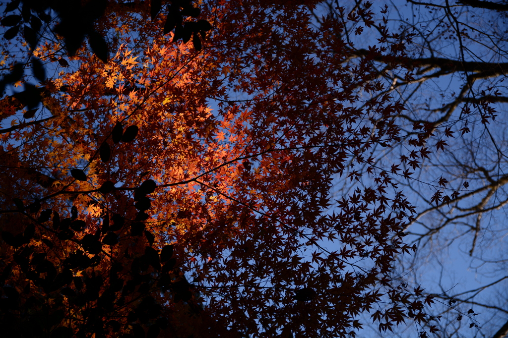 12.Red&Sky