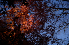 12.Red&Sky