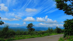 夏の空