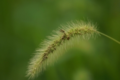 DSC00855