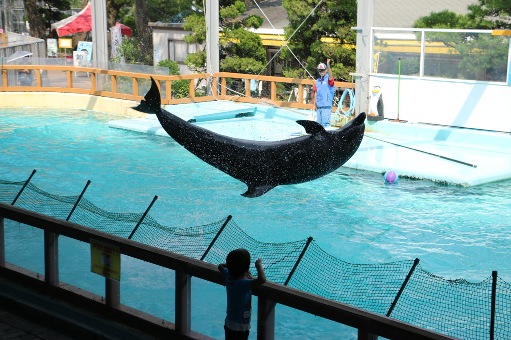 水族館に