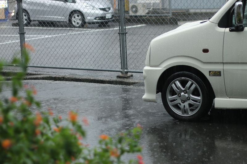 雨