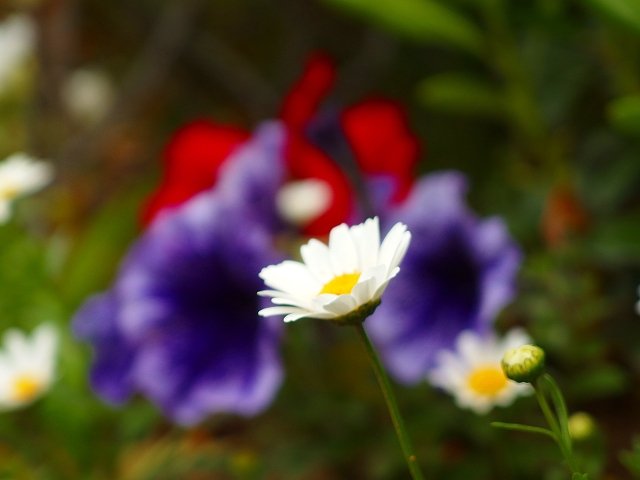 花