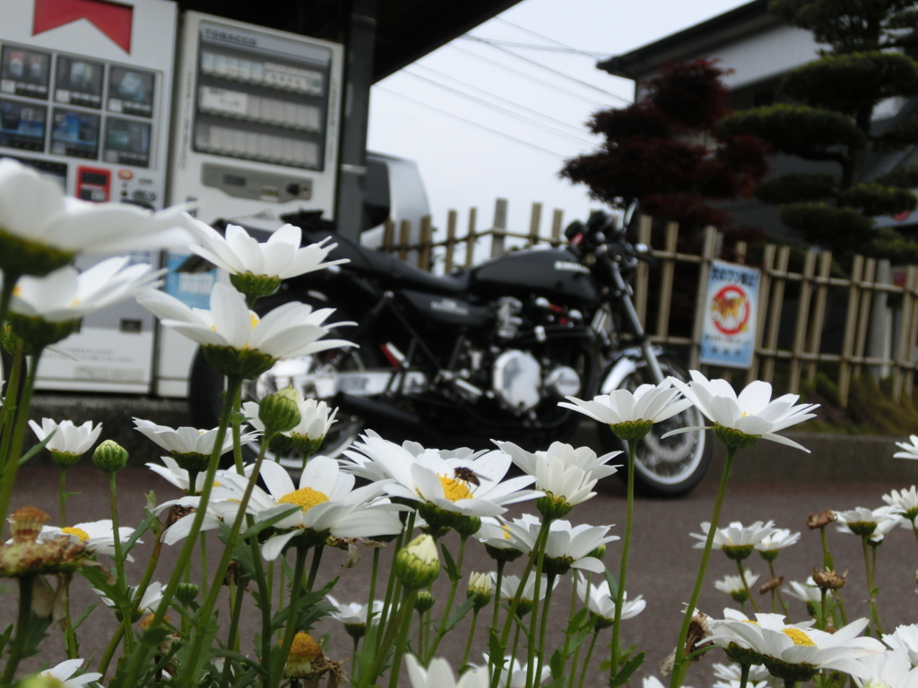 到着