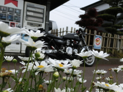 到着