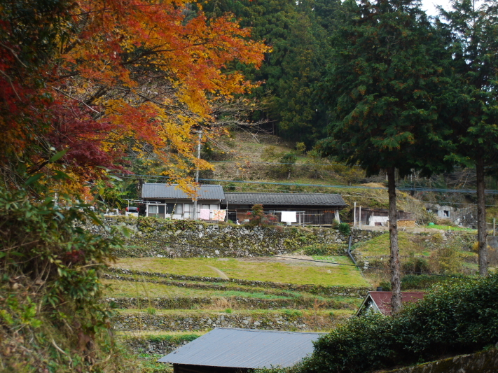 田舎