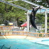水族館に