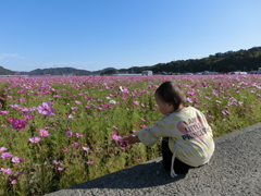 ふれあい