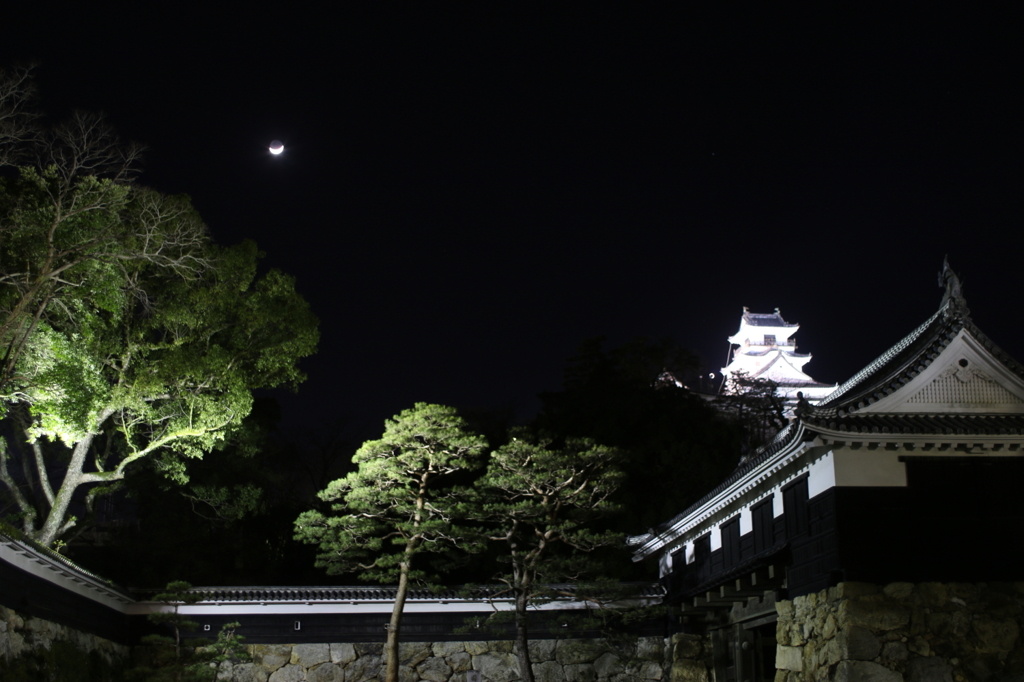 高知城と月