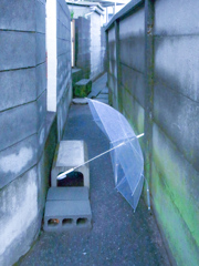かさ　が　あらわれた