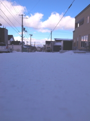 原っぱではありません。道路です。