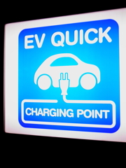 初めて見たから撮っちゃった。