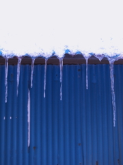 さかさせいくらべ