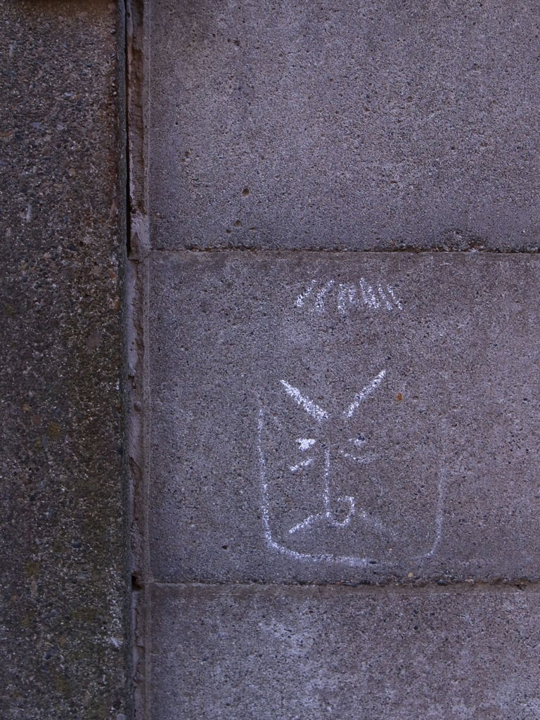 なんかこの顔見たことある気がするかもしれない