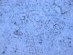 アスファルトが凍っています。