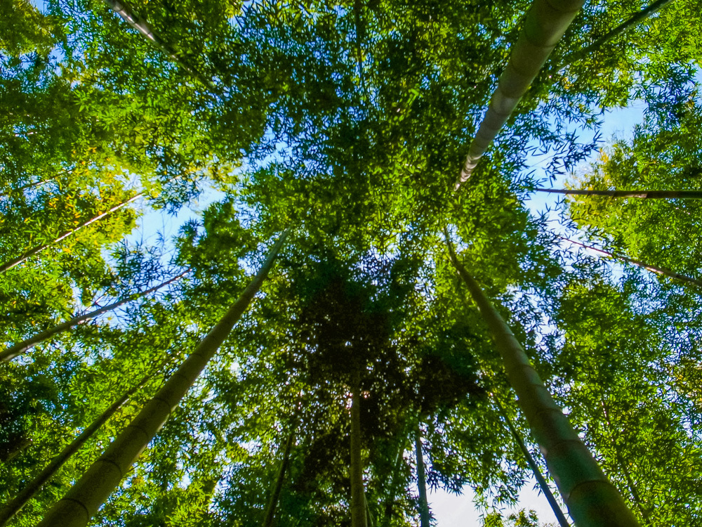 上