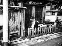 ぴったりサイズ