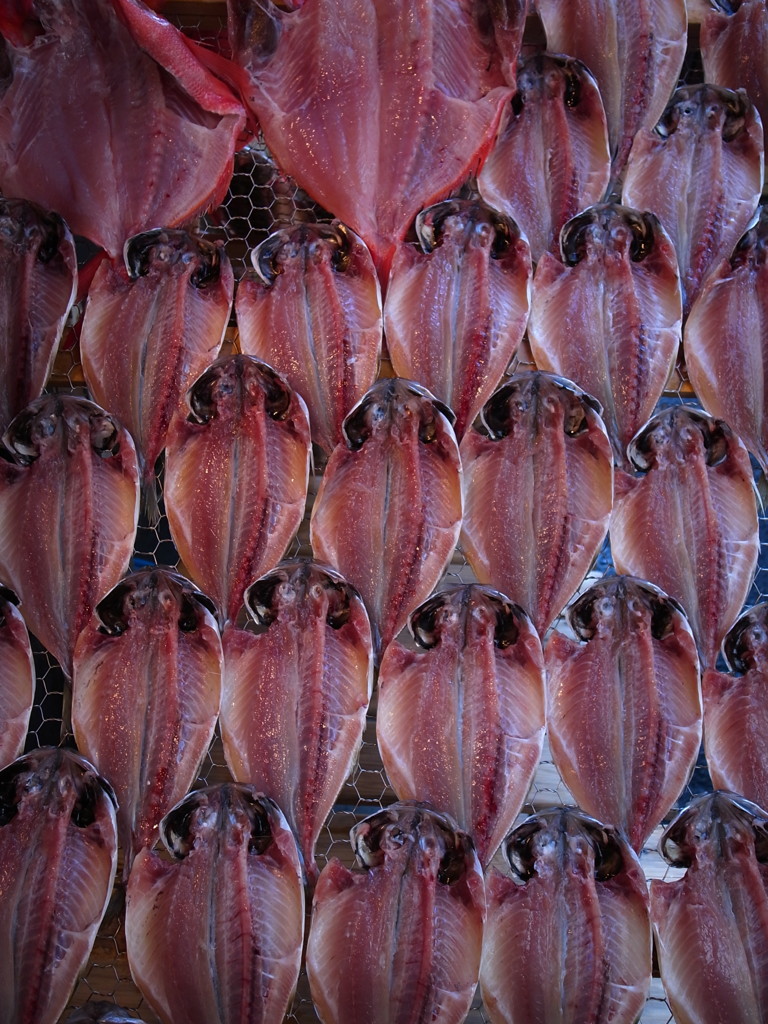 さかなでうろこ