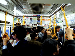 みんな頑張ってる