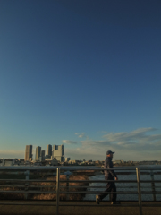 ビルが生えてるみたい