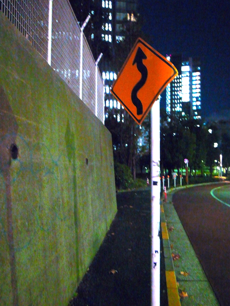 道路の方向いてないから意味ない標識