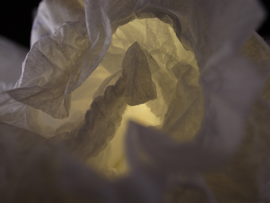 きれいなおむつ