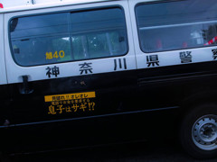 息子はサギ！？