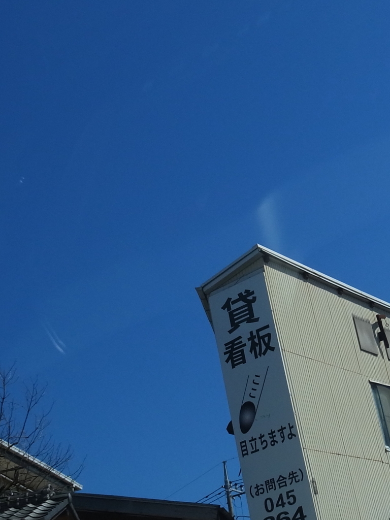 ココ、結構昔から知ってるけど、初めて気づいたわ！