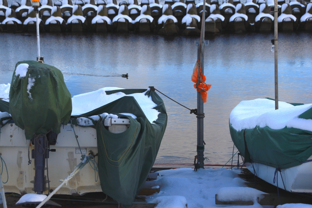 冬はお休みなの。