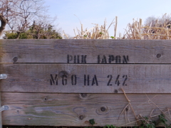 海外の板