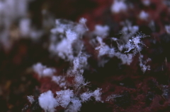 雪の結晶