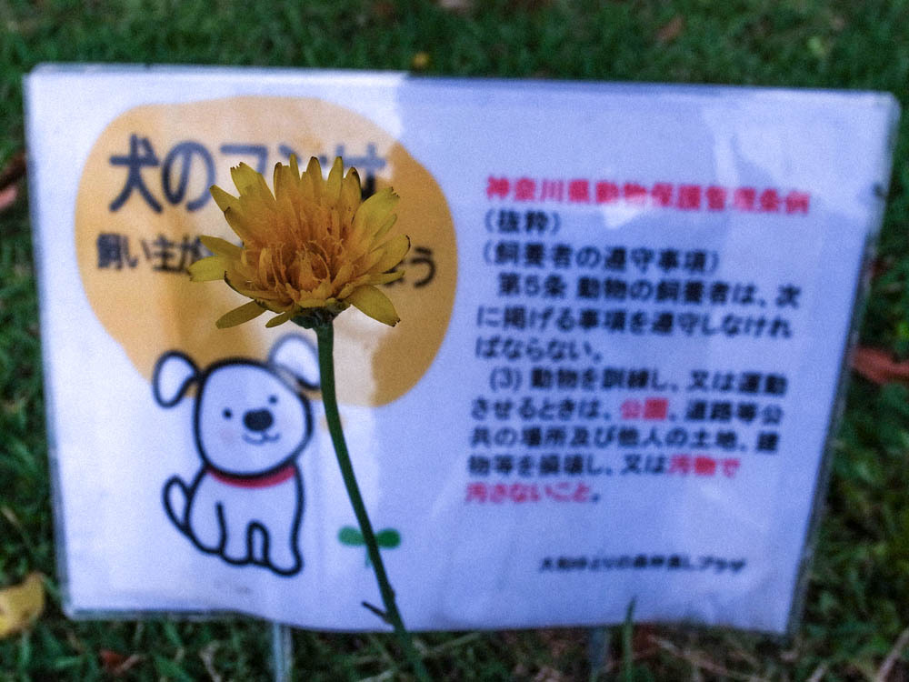 フンが栄養ではない