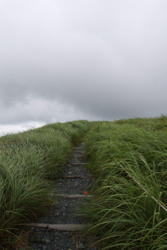 生石高原