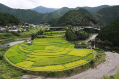 あらぎ島