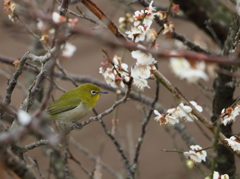 春もそこまで