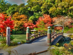 紅葉