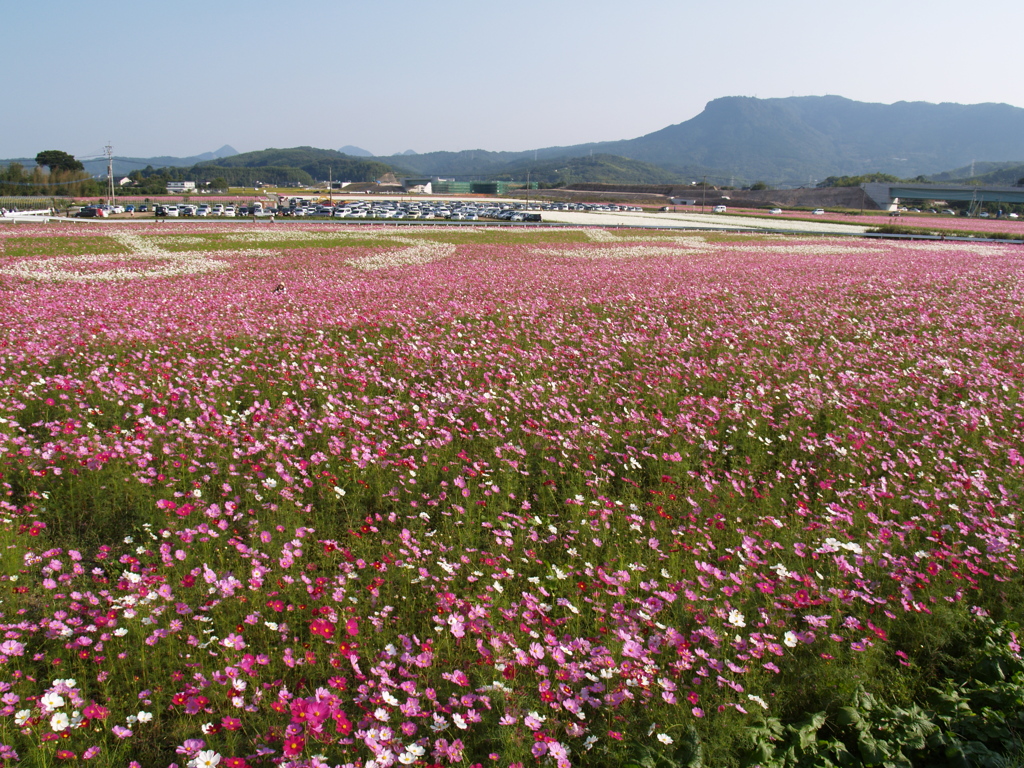 会場はとても広い