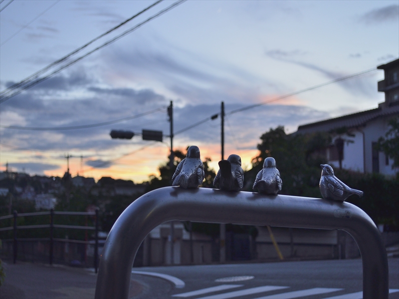 動かぬ鳥も夕景観賞