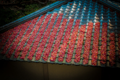 紅葉の屋根