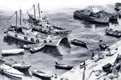 1972『 漁港の昼下がり 』