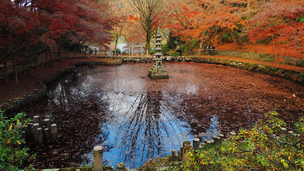 ウッカリ！　近場のお寺