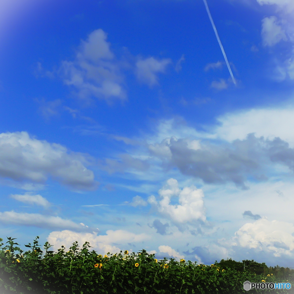 『 とおり過ぎる夏 』