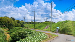 『 秋への 道のり 』