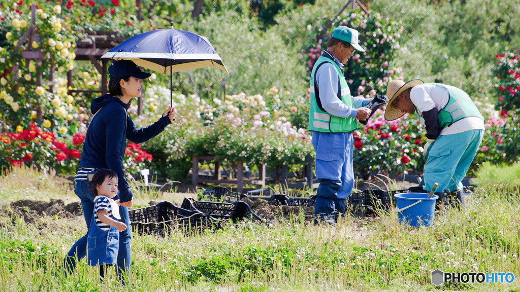 『 ５月の公園 』