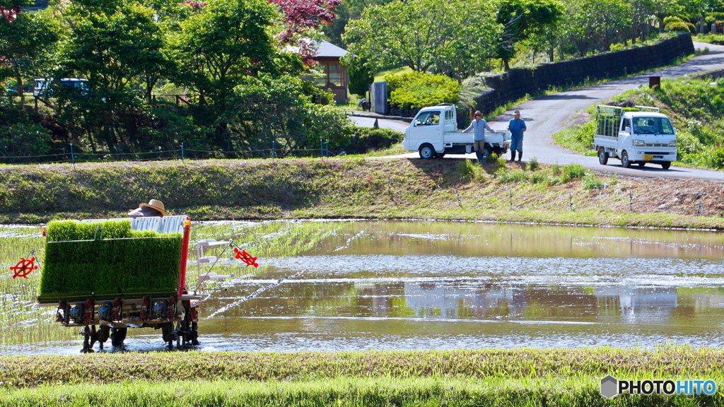 『 田植え日和 』Ⅳ