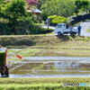 『 田植え日和 』Ⅳ