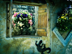 『 誘われて 』 Ⅱ