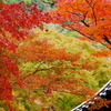 近場のお寺で　Ⅱ